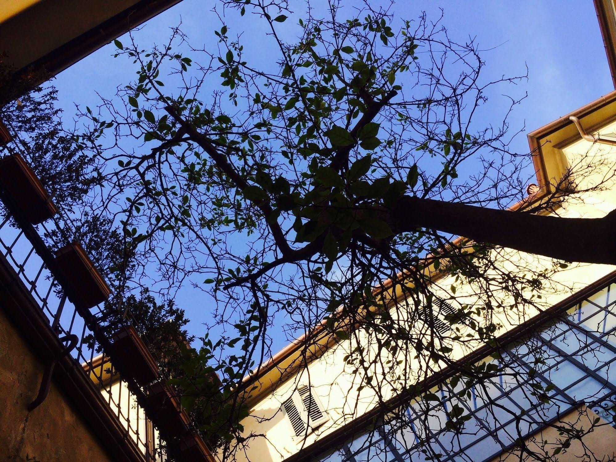 Locanda San Marco Residenza Caluri Πιστόια Εξωτερικό φωτογραφία